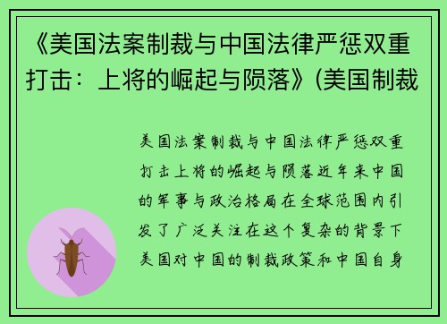 《美国法案制裁与中国法律严惩双重打击：上将的崛起与陨落》(美国制裁法律制度)